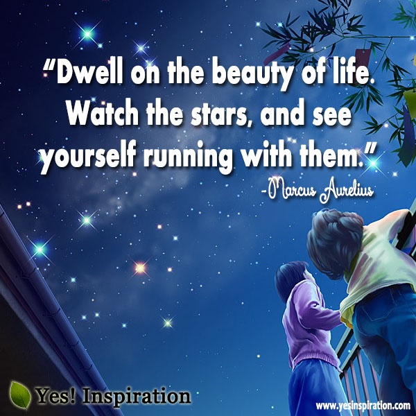 acf00caa0844b0660a1c57175261bf1d